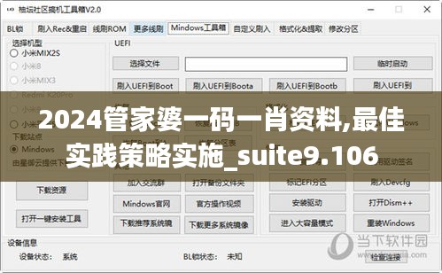 2024管家婆一码一肖资料,最佳实践策略实施_suite9.106