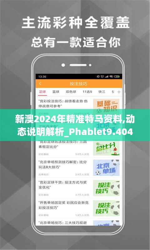 新澳2024年精准特马资料,动态说明解析_Phablet9.404