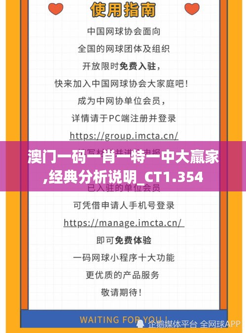 澳门一码一肖一特一中大羸家,经典分析说明_CT1.354