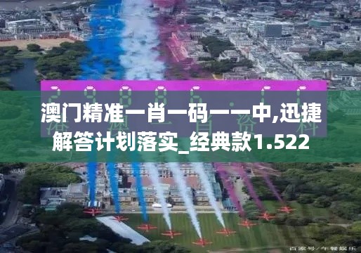 澳门精准一肖一码一一中,迅捷解答计划落实_经典款1.522