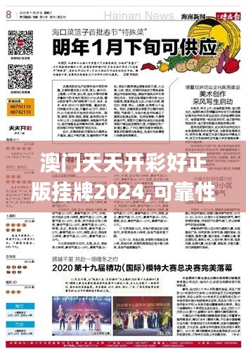 澳门天天开彩好正版挂牌2024,可靠性执行方案_nShop4.352